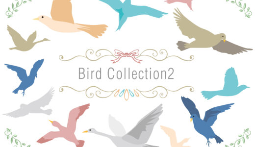 【英語ネタ】「鳥・鳥類」に関する英語・読み方一覧